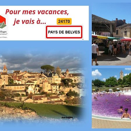 Au Lilas Rose Maison Entre Campagne Et Village Belvès Екстериор снимка