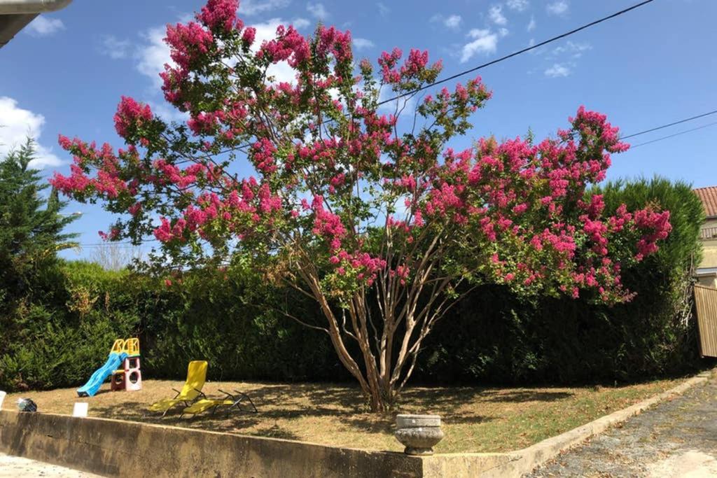 Au Lilas Rose Maison Entre Campagne Et Village Belvès Екстериор снимка