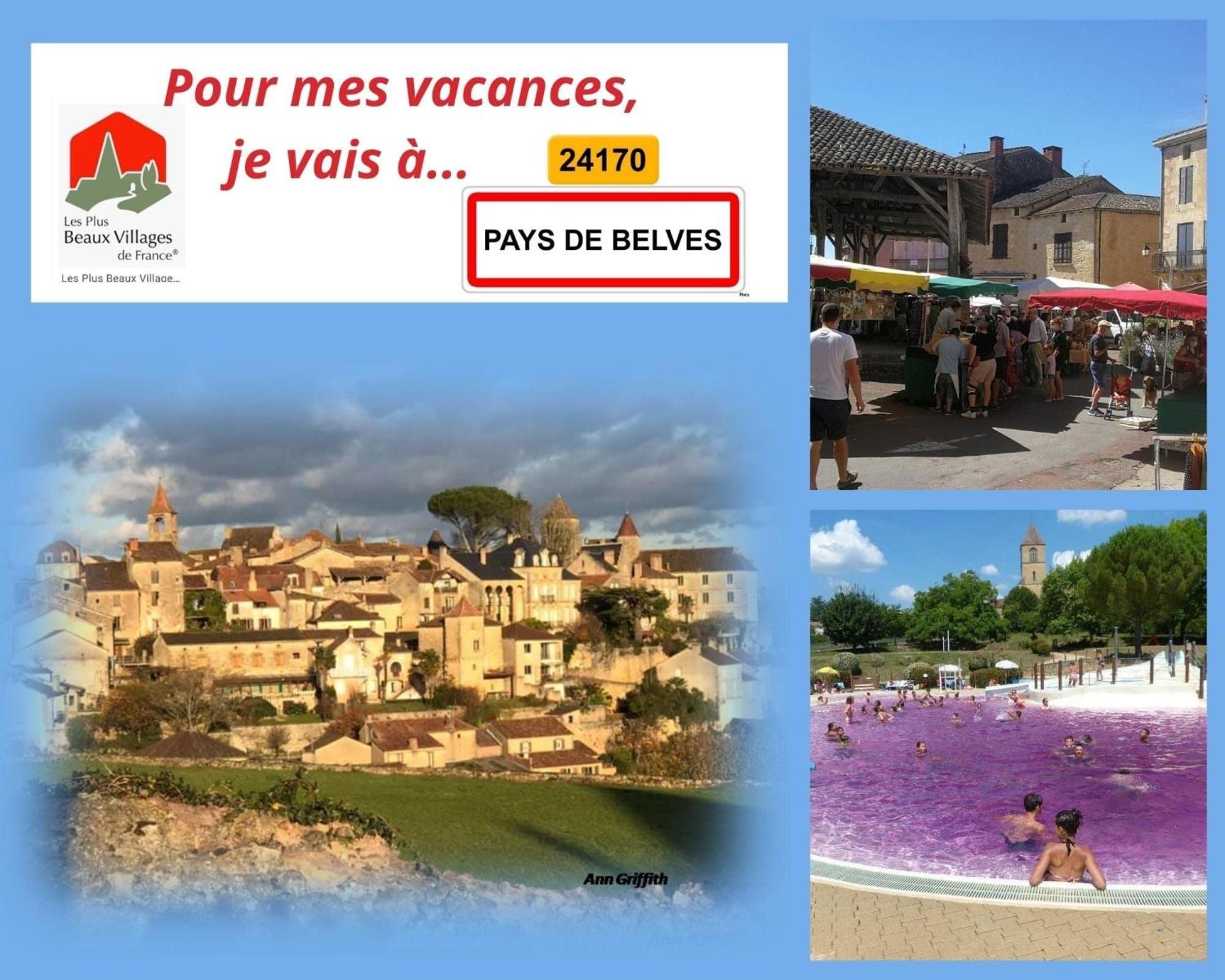 Au Lilas Rose Maison Entre Campagne Et Village Belvès Екстериор снимка